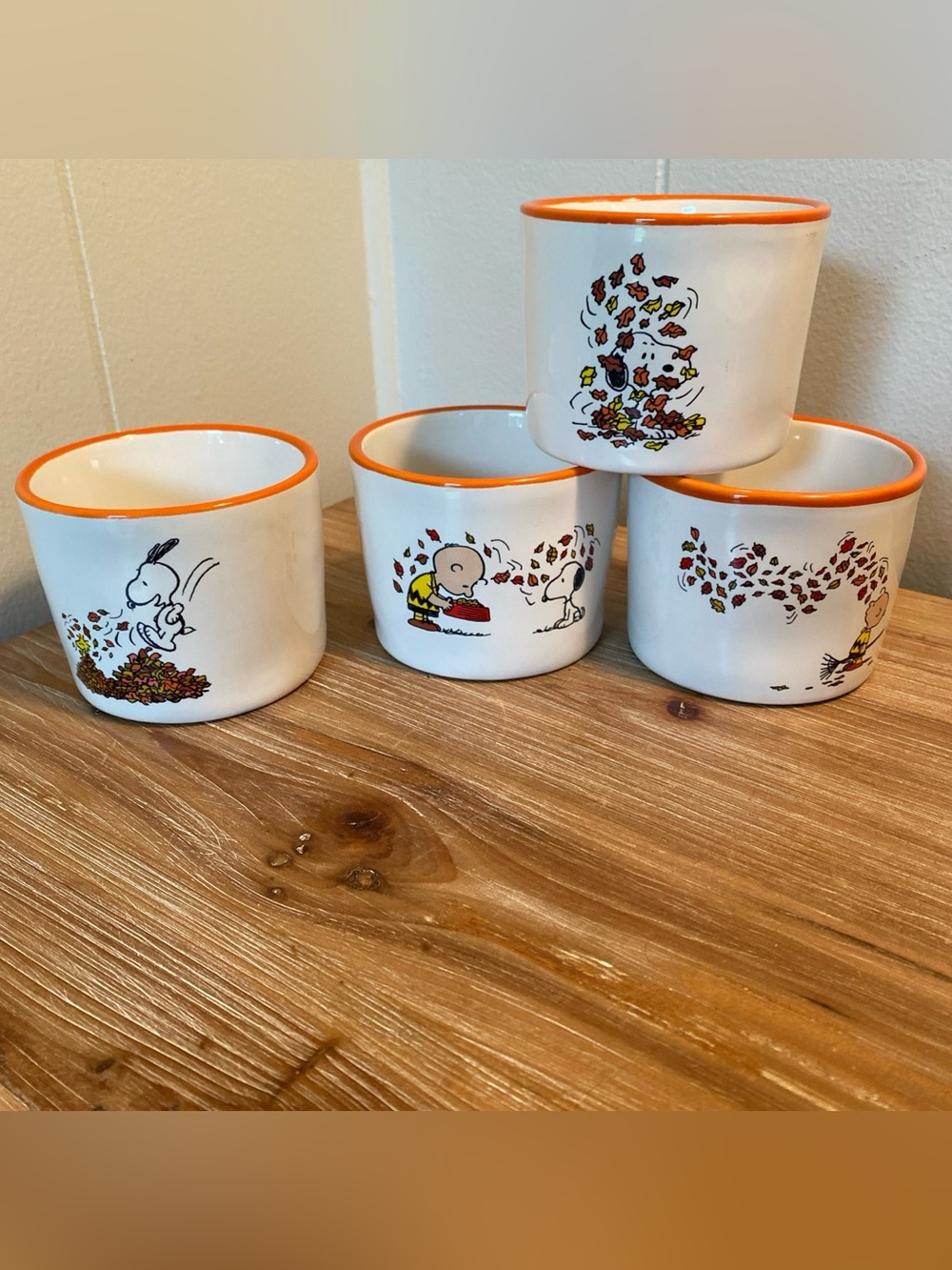 Rae Dunn  & Peanuts Snoopy  Charlie Brown Fall Leaves Ramekins 8 Oz Set Of 4